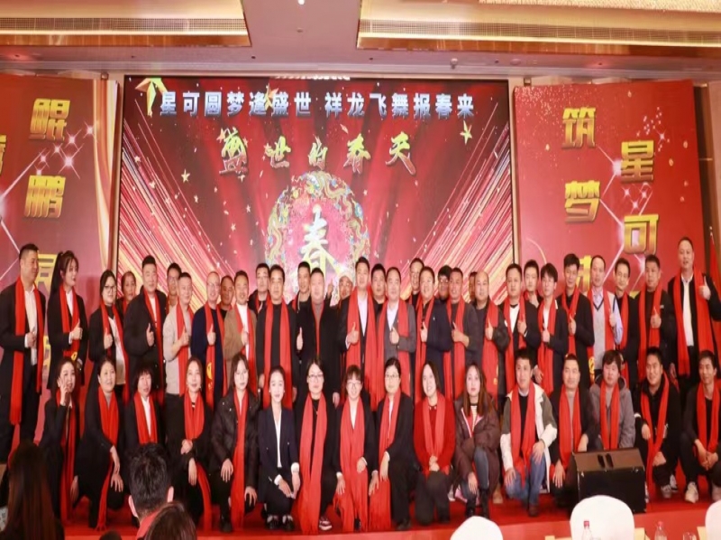 中弘泰建司年終工作總結(jié)暨春節(jié)團(tuán)拜會(huì)